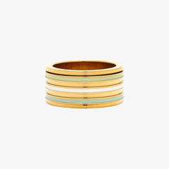 Wide Enamel Stripe Fidget Ring