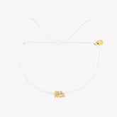 Kappa Delta Collection