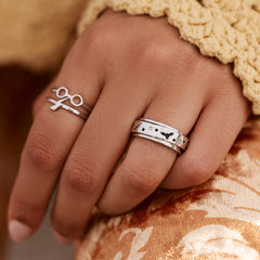 Harry Potter™ Fidget Ring